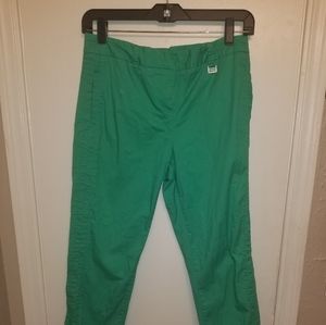 Pretty color burst for drab winter!